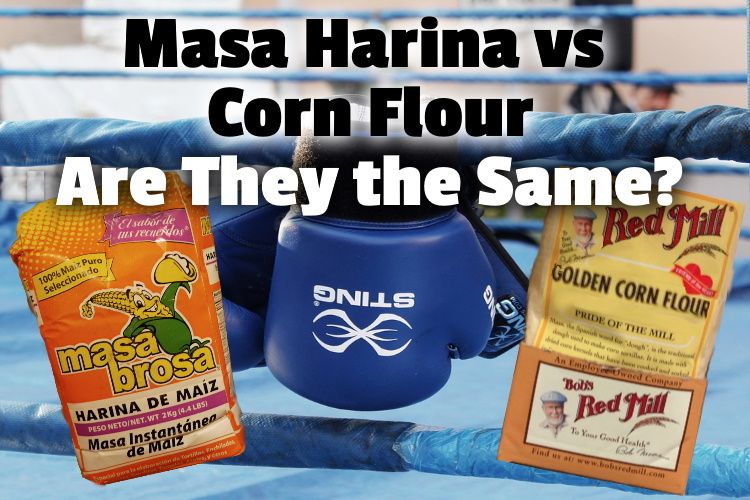 Masa Harina vs harina de maíz: ¿son iguales?