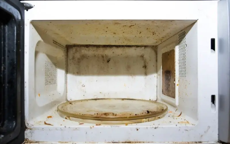 ¿Por qué se oxidan los hornos microondas? (Razones comunes y formas de prevenir esto)