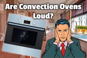 ¿Son ruidosos los hornos de convección? (¿Y puedes apagar el ventilador?)