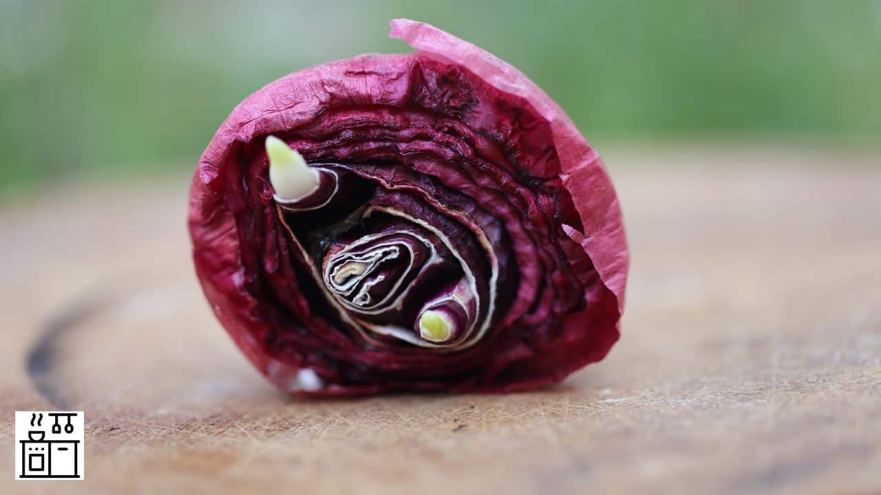 9 variedades únicas de cebolla que brotan