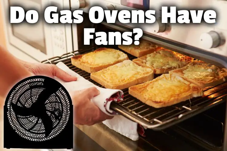¿Los hornos a gas tienen ventiladores? (No siempre, pero cuando sucede...)