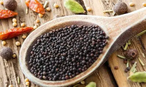 Semillas de mostaza, negras, crudas (¿orgánicas?) |
