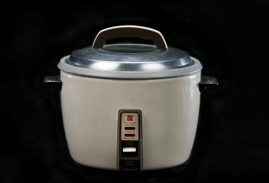 El origen de la arrocera eléctrica - GreedyPanda Foodie Blog